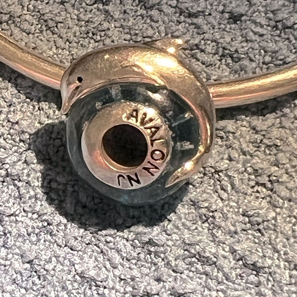 Dolphin charm-Avalon, NJ
